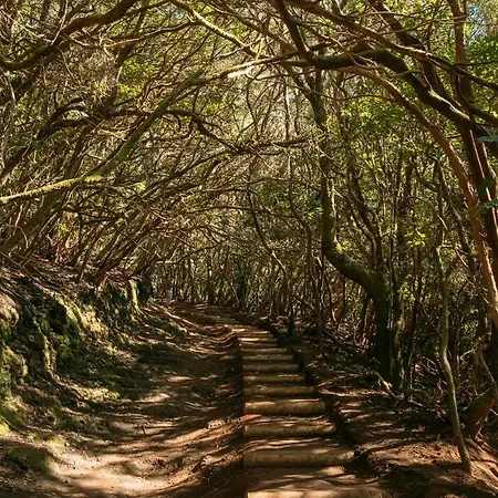 El Garajillo 公寓 *